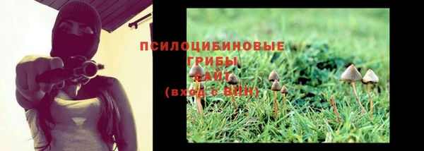 MDMA Богданович