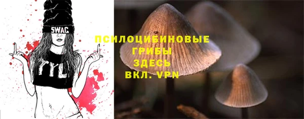 COCAINE Богородск