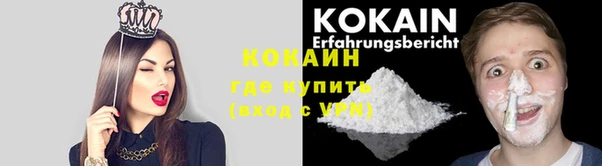мет Бородино
